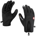 X-WINDSHELL_1.jpg