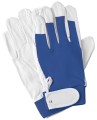 07202 blue tg.9.jpg
